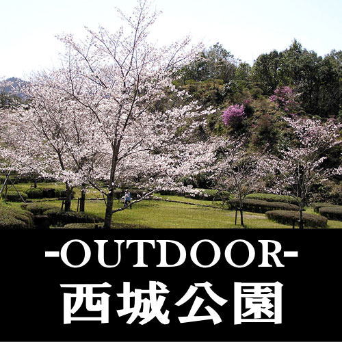 観光地、観光スポット