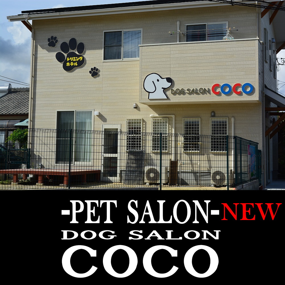 日向市のペットサロン・ペットショップ - DOG SALON COCO(ココ)