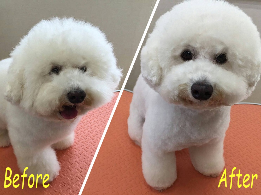 トリミングの様子